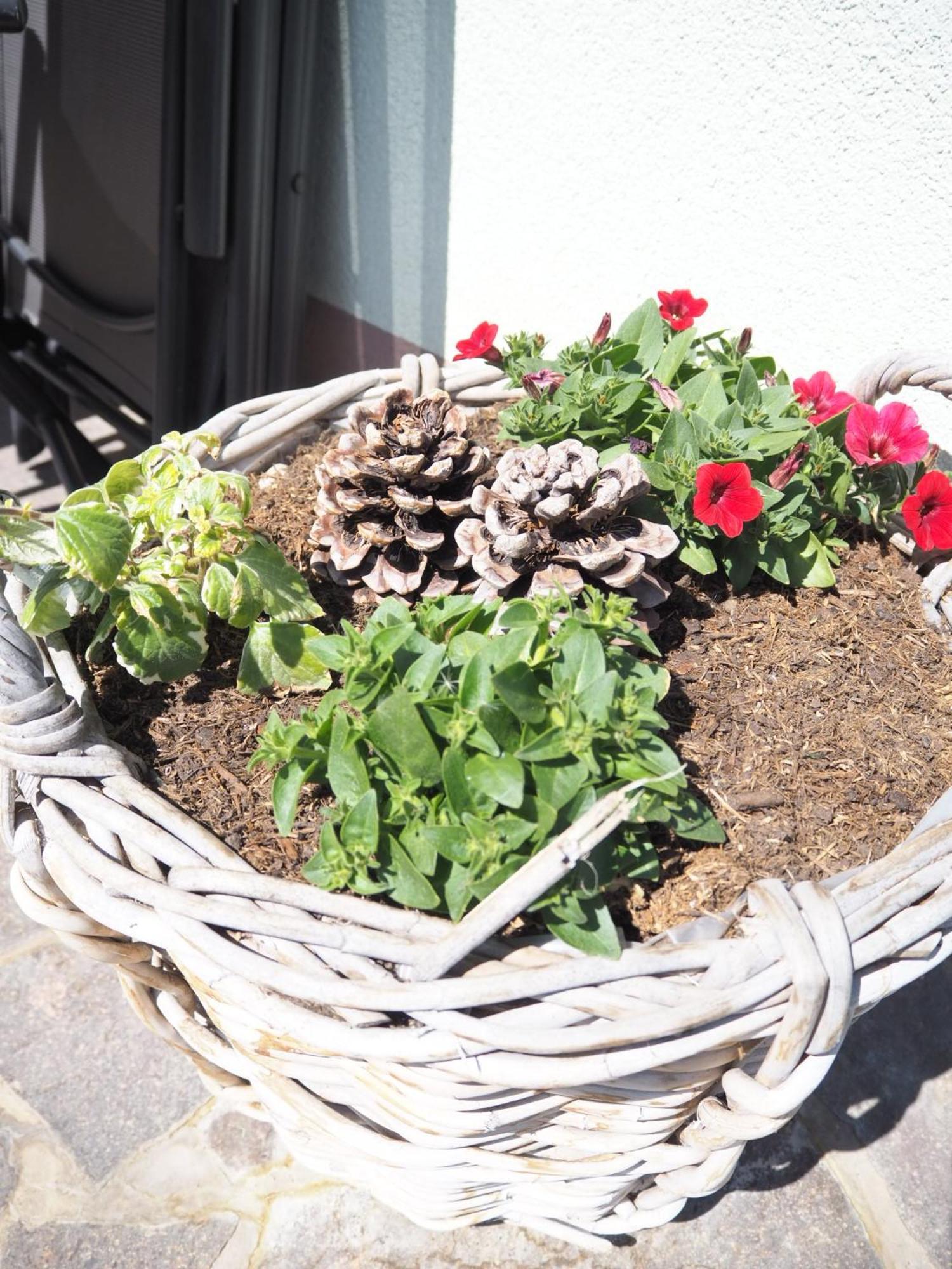 Appartement Felsenheim Βέστεντορφ Εξωτερικό φωτογραφία